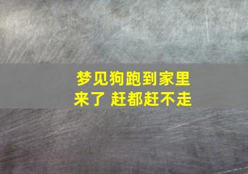 梦见狗跑到家里来了 赶都赶不走